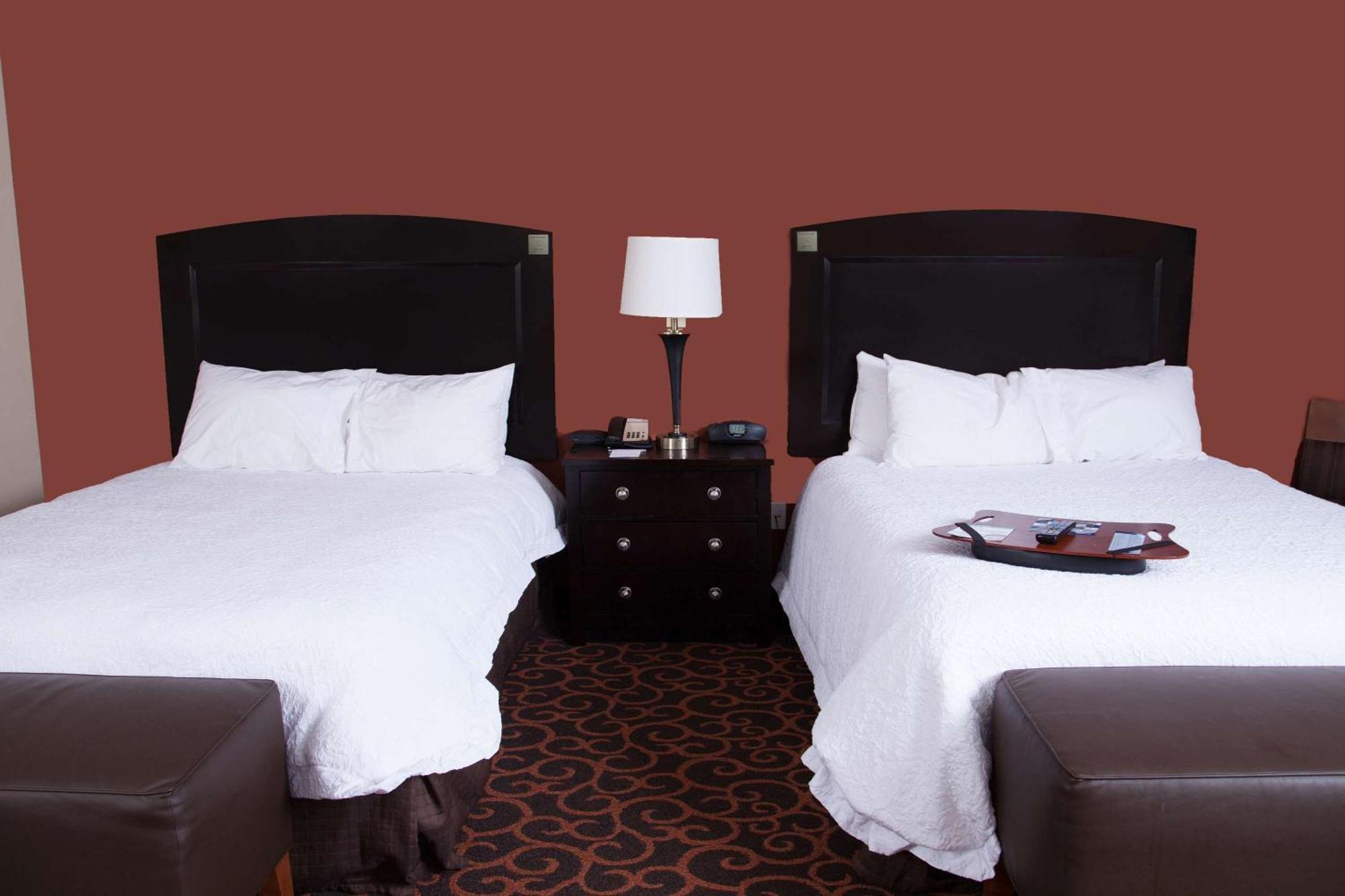 Hampton Inn & Suites Dickinson Nd Buitenkant foto