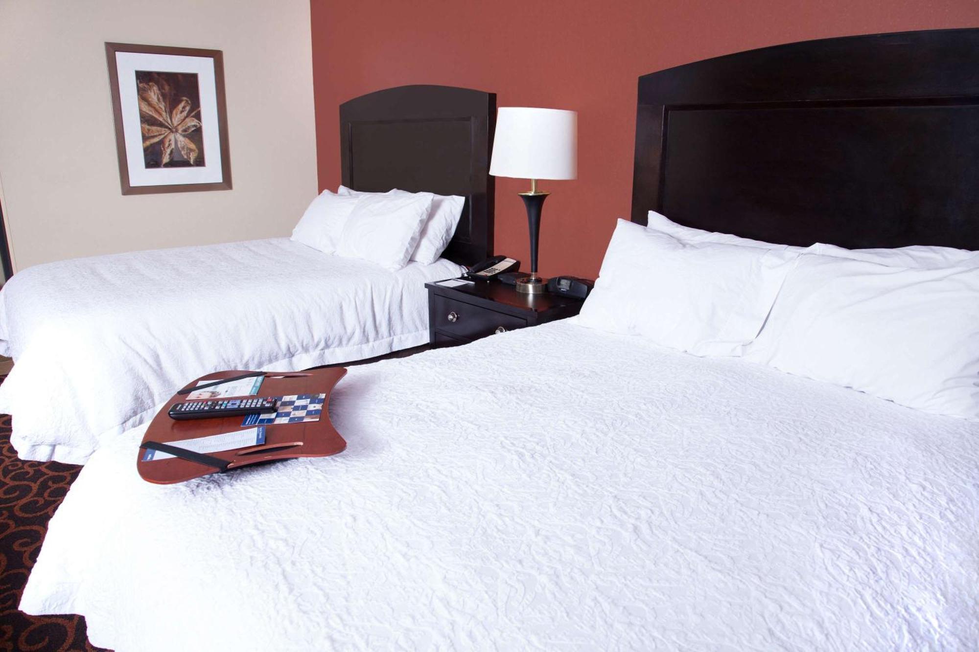 Hampton Inn & Suites Dickinson Nd Buitenkant foto