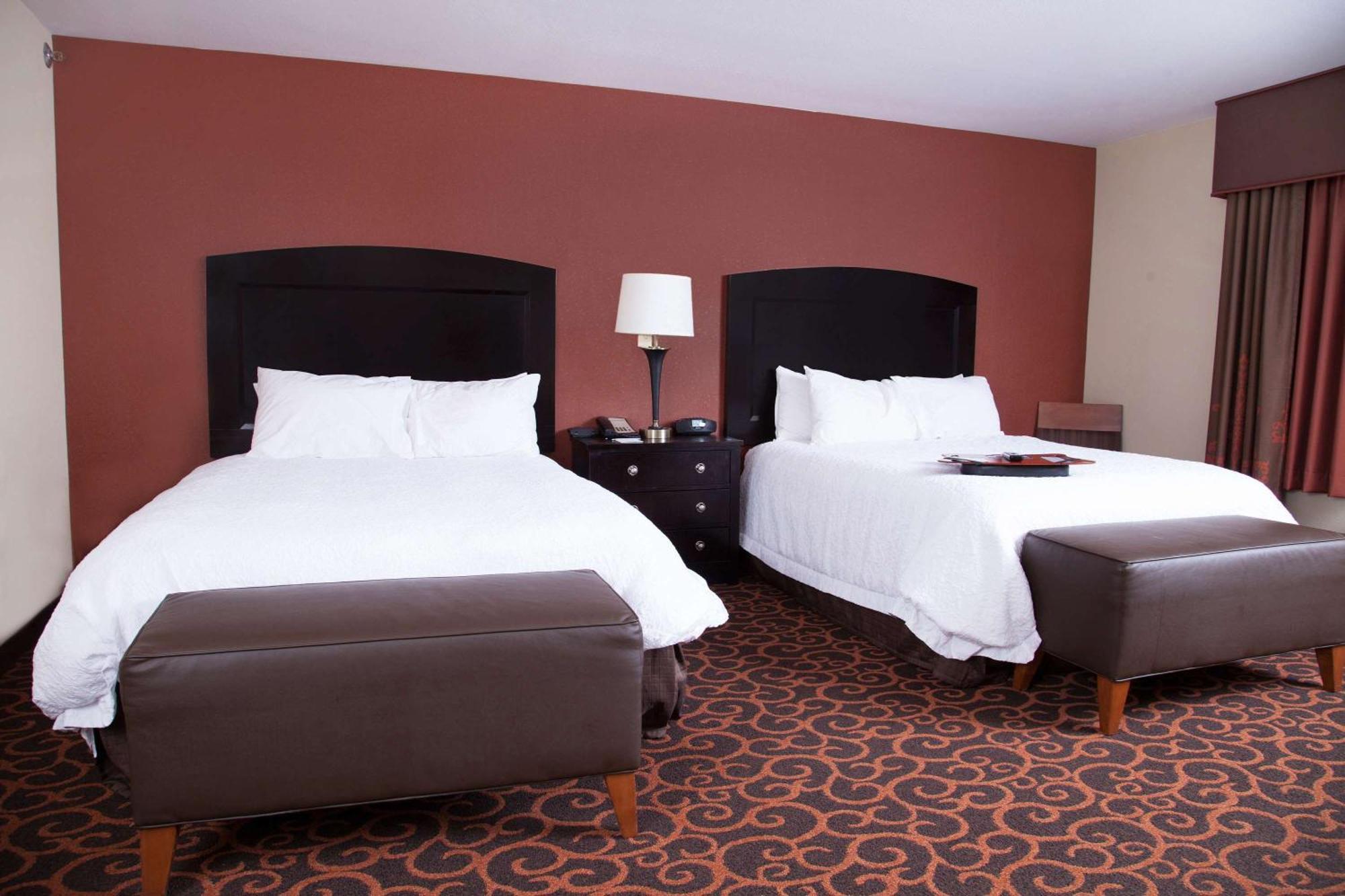 Hampton Inn & Suites Dickinson Nd Buitenkant foto