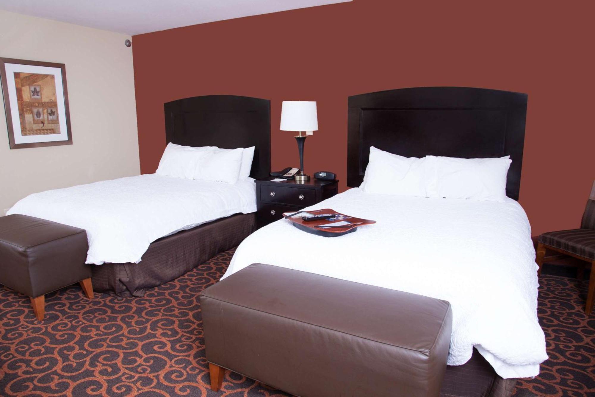 Hampton Inn & Suites Dickinson Nd Buitenkant foto